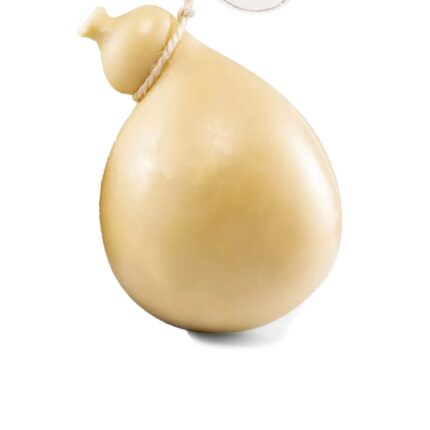 Plac Caciocavallo Bianco 1,5 kg – formaggio bovino stagionato a pasta filata