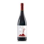 Gaio Pompoeiano sparkling red wine
