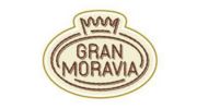 Gran Moravia