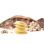 Raviolo cernia e pistacchio 2kg