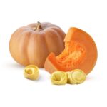 Pumpkin and caciocavallo tortello 50gr