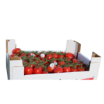 Pomodori Piccadilly Campani freschi 1kg - immagine 2
